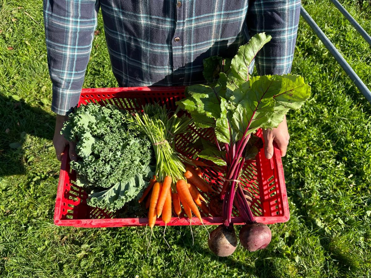 Activiteit - Regiotour Circulaire Voedselketens Regio Foodvalley op 11 oktober