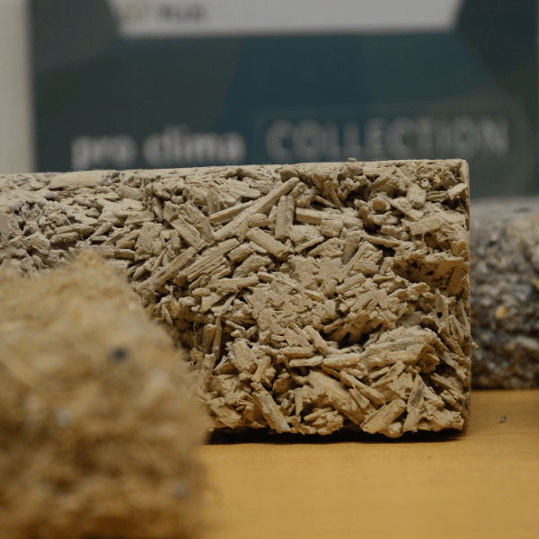 Lunchlezing Biobased Bouwen voor projectleiders